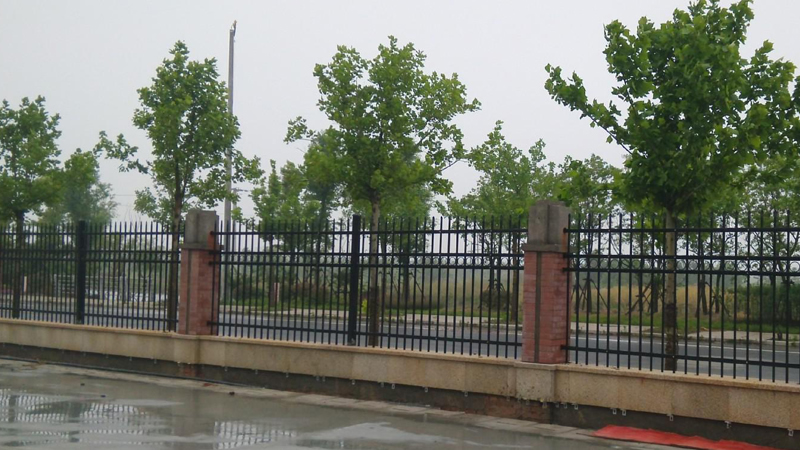 1615277623931438.jpg 55.jpg