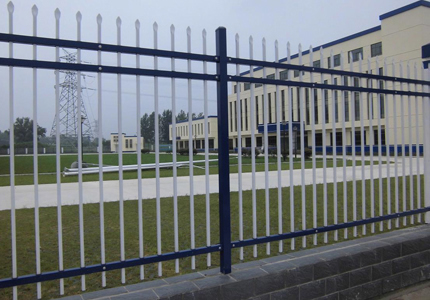 1615337156183878.jpg 22.jpg